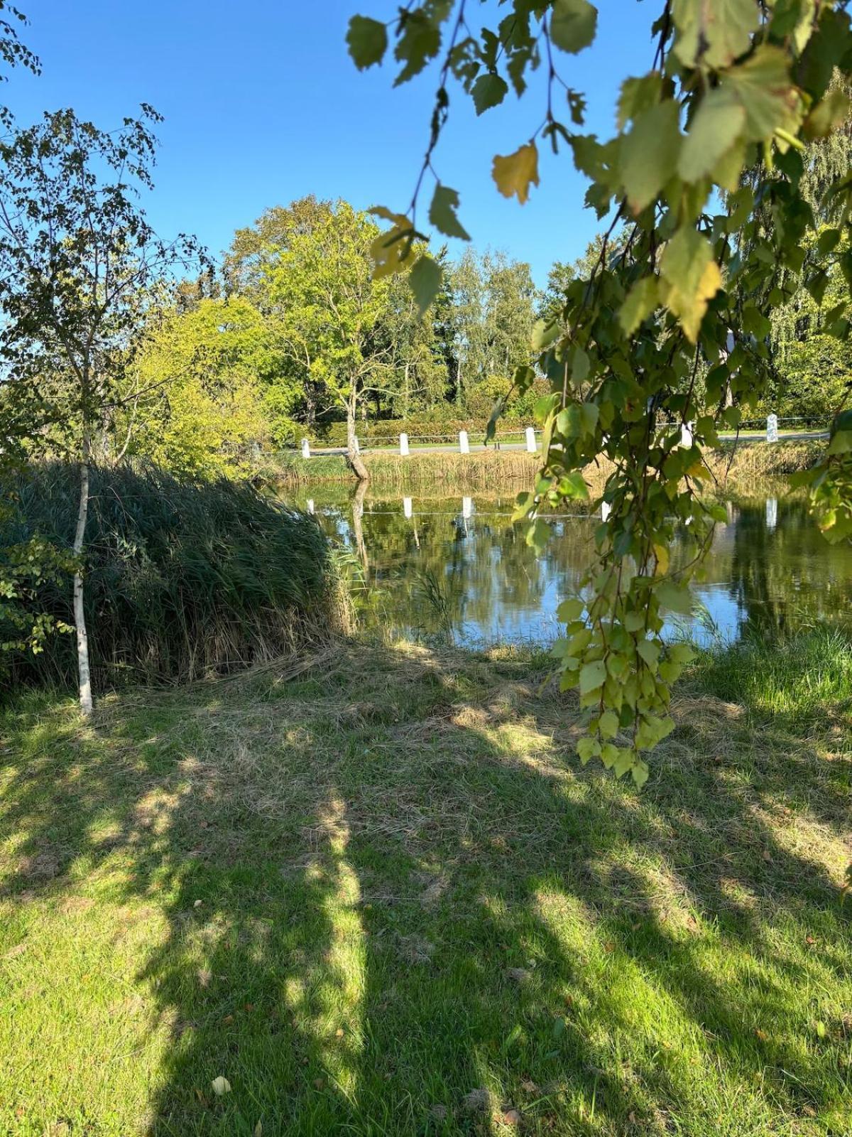 Troldehuset Villa Bogense Exteriör bild