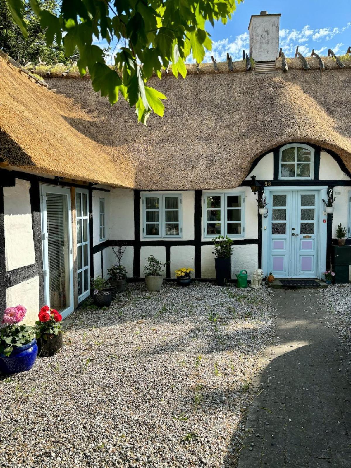 Troldehuset Villa Bogense Exteriör bild