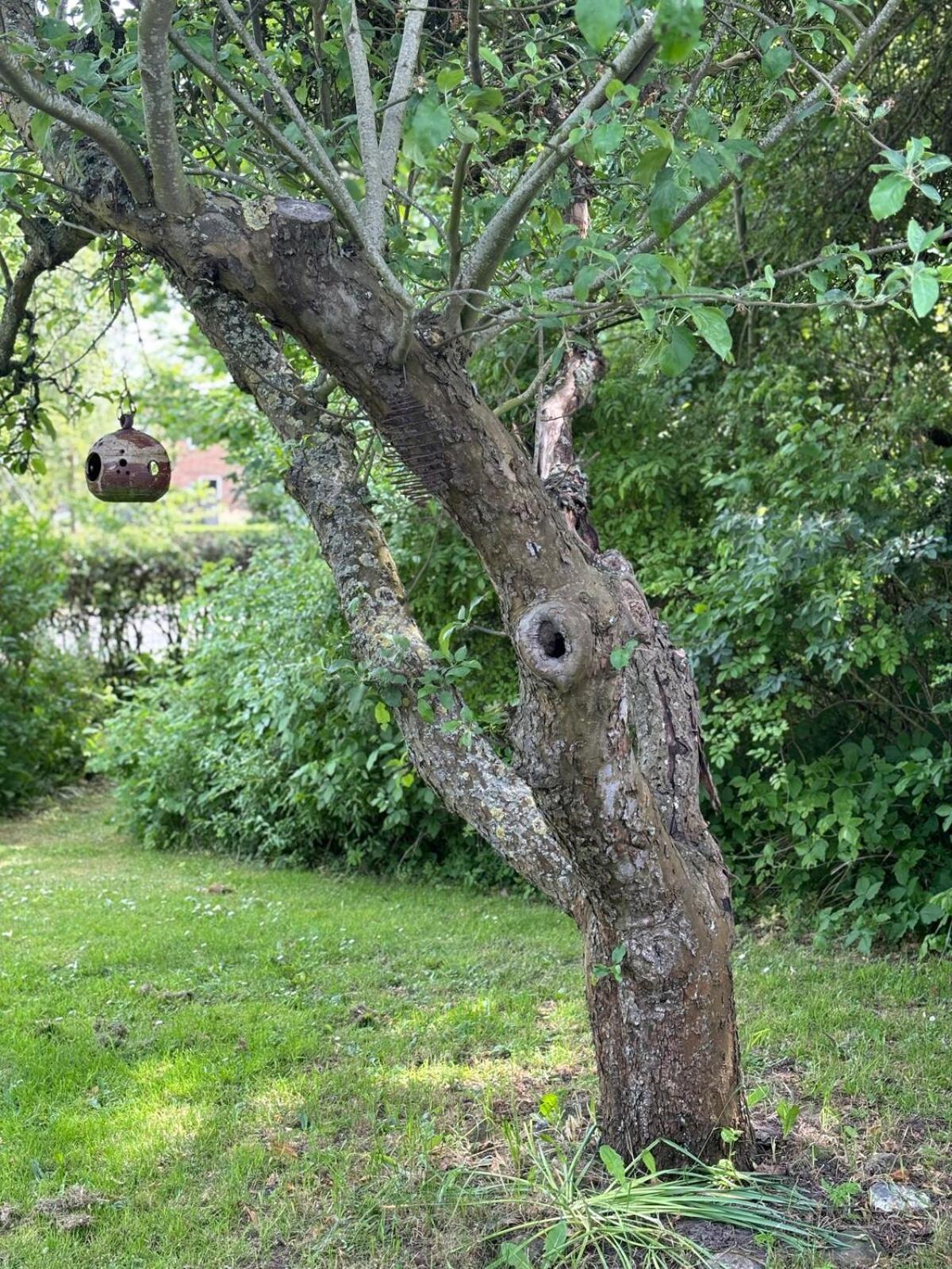 Troldehuset Villa Bogense Exteriör bild
