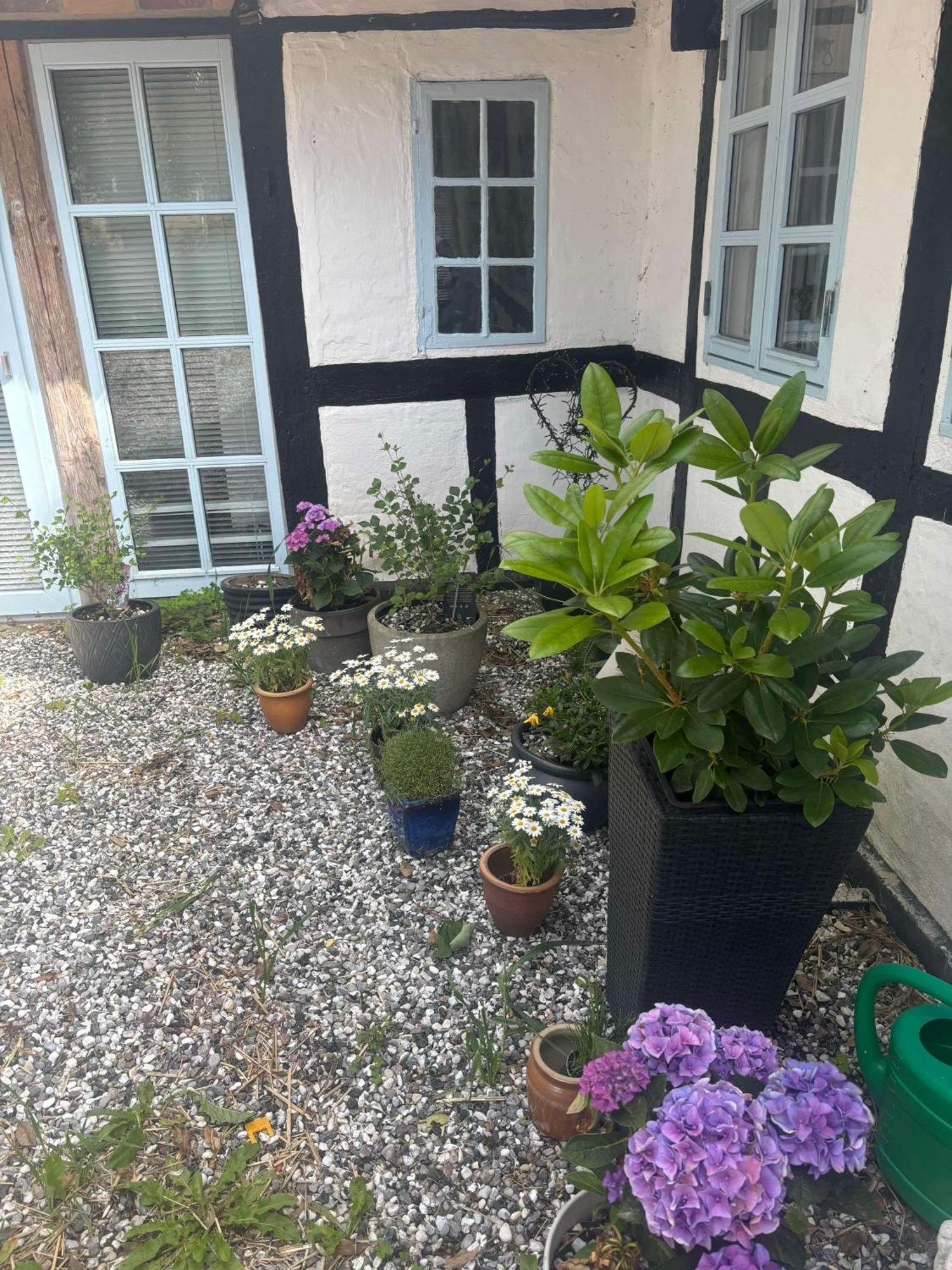Troldehuset Villa Bogense Exteriör bild